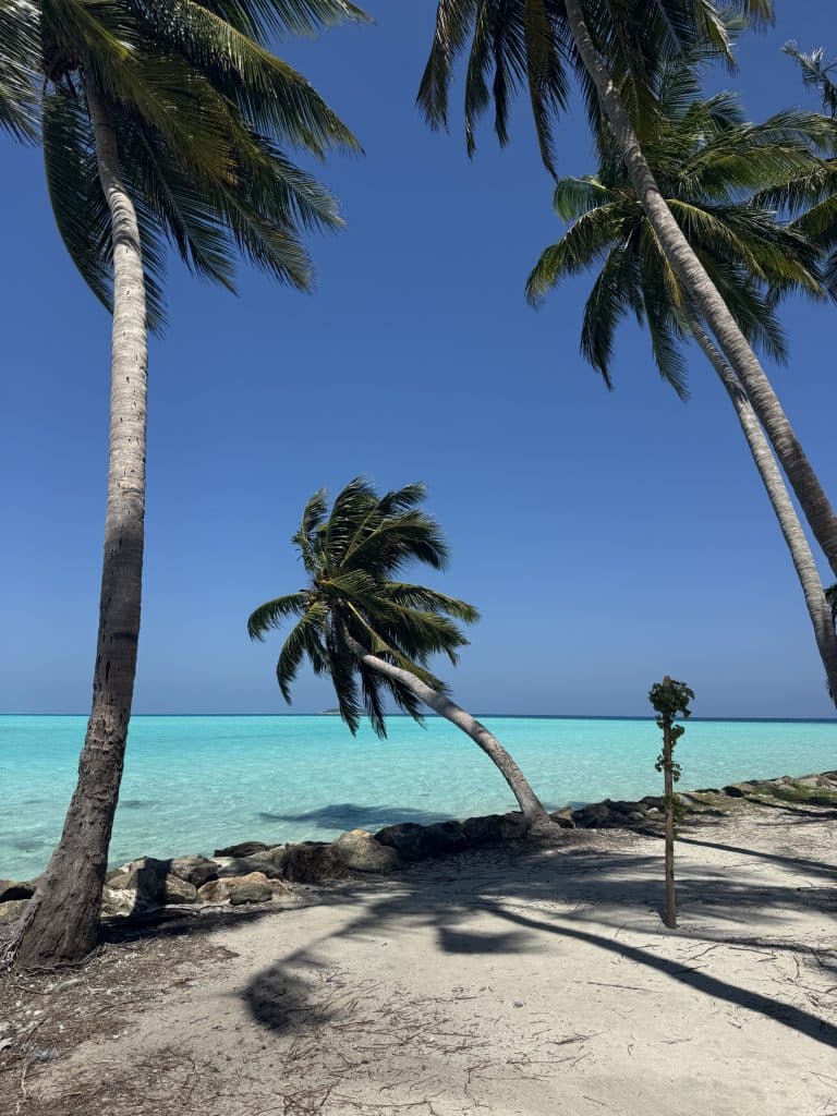 Guesthouse alle Maldive: la mia settimana a Thoddoo