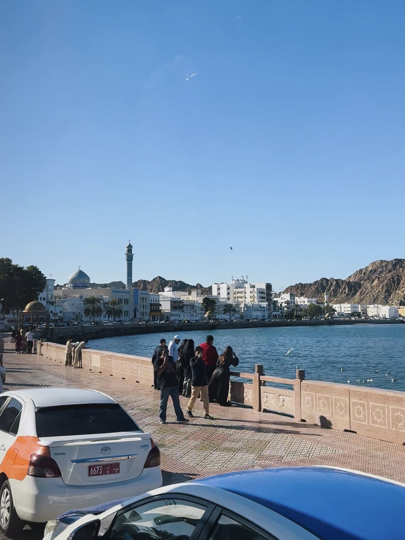 Cosa vedere in Oman: Muscat, wadi e deserto