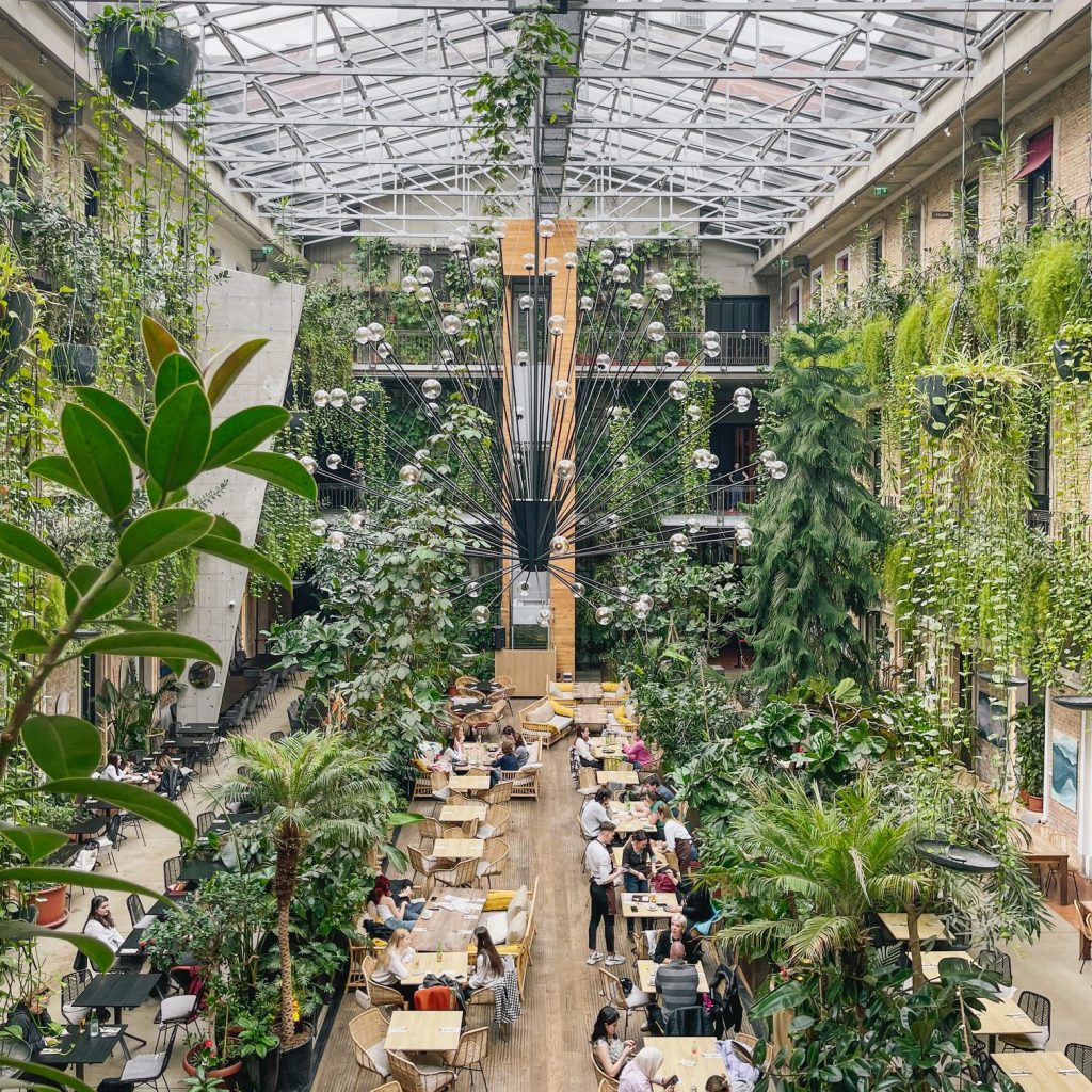 Sala interna di Twentysix, la giungla urbana di Budapest