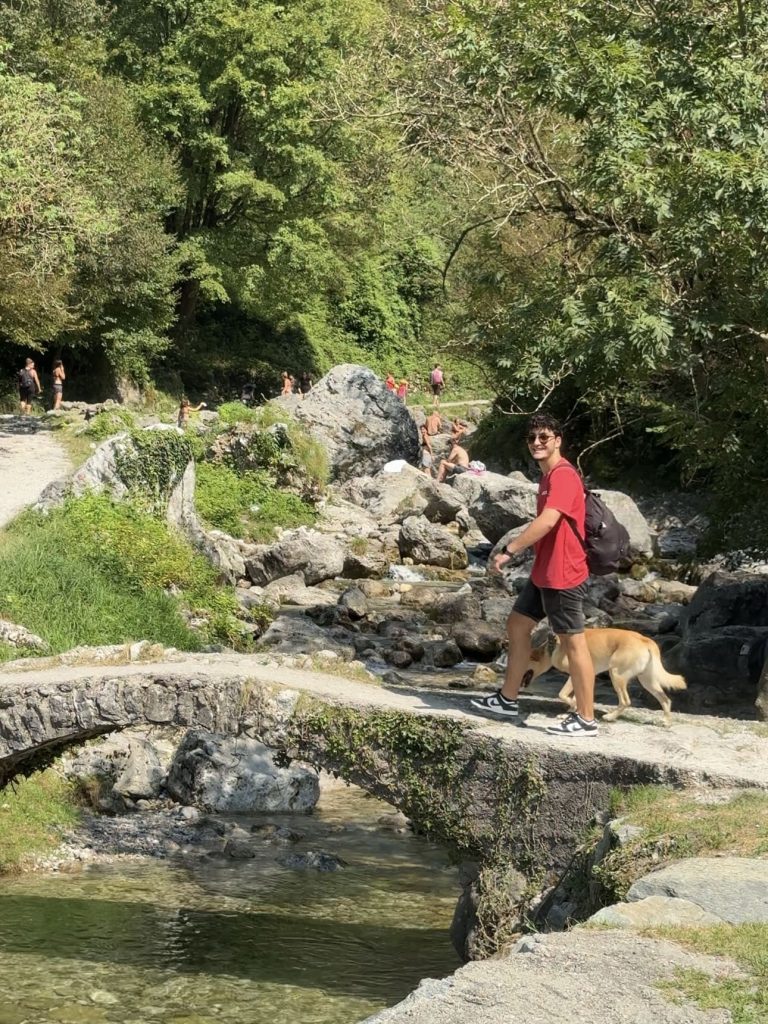 Pozze di Erve circondate dai boschi della Val San Martino