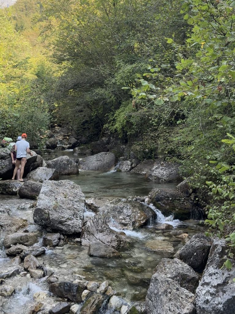 Simba si rinfresca lungo il torrente delle Pozze di Erve