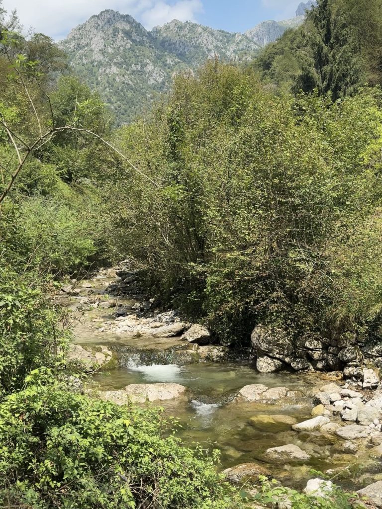 Boschi rigogliosi della Val San Martino sopra Erve