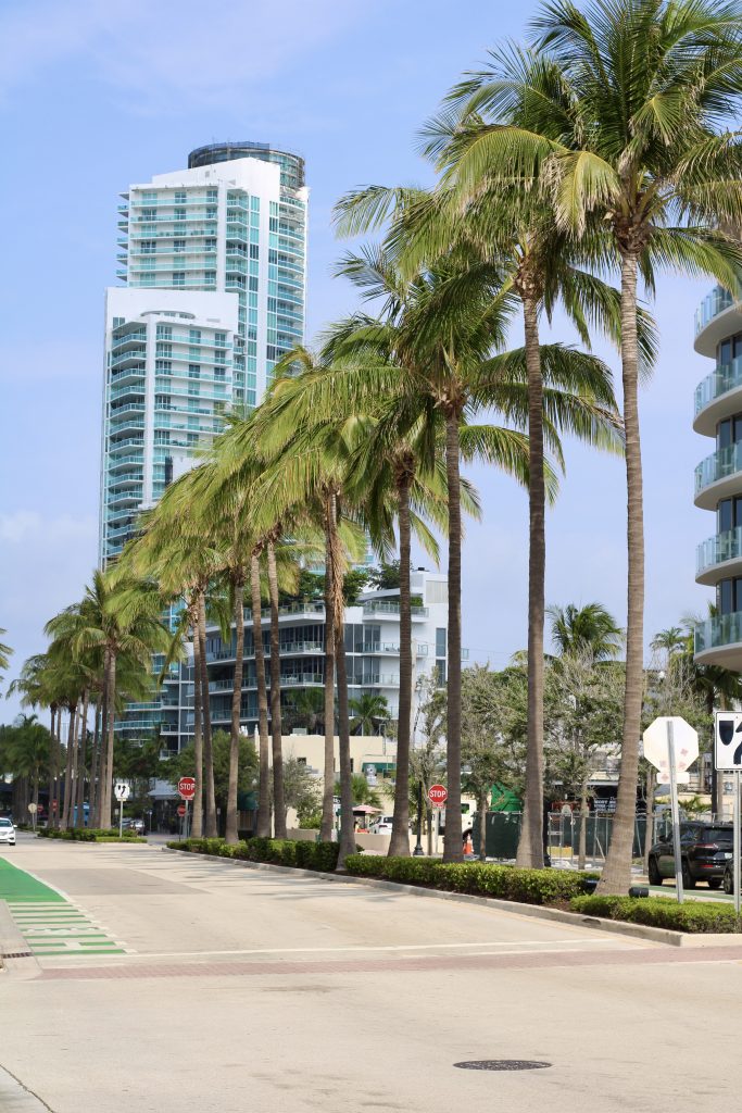 Skyline di Miami con palme e strade della città