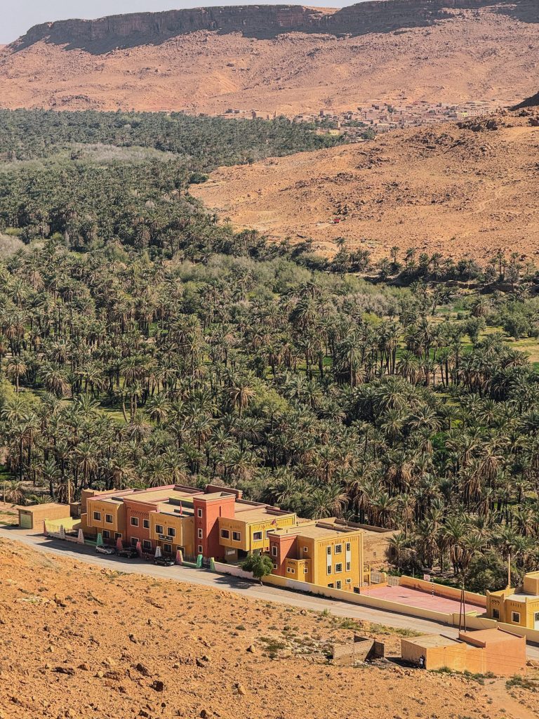 Foresta dei Cedri di Azrou con macachi berberi