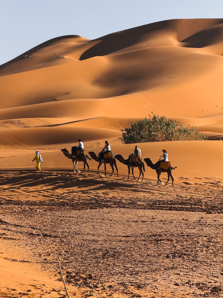 Tenda berbera nel campo tendato del Sahara