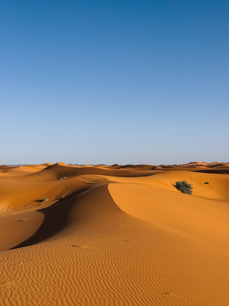 Cavalcata in cammello al tramonto sulle dune del Sahara