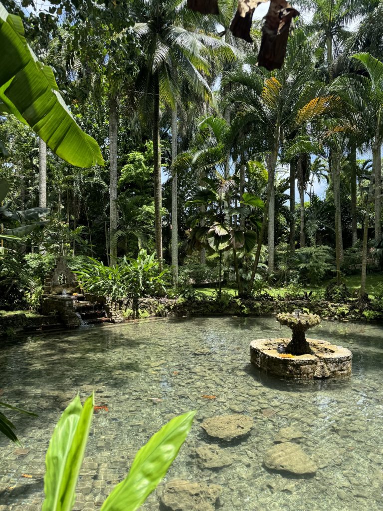 Parco delle Cascate Konoko in Giamaica con vegetazione rigogliosa