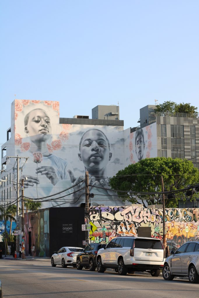 Dettaglio di un murale del Wynwood Art District