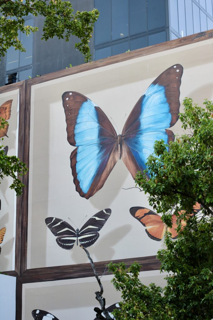 Street art su una parete del quartiere Wynwood