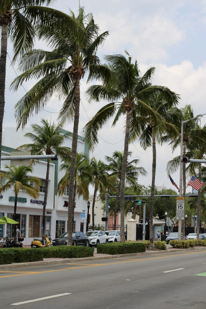 Strada di Miami Beach con palme e architettura Art Deco