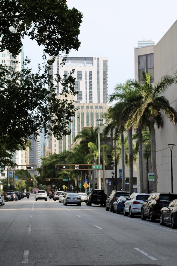Strada di Downtown Miami costeggiata dalle palme