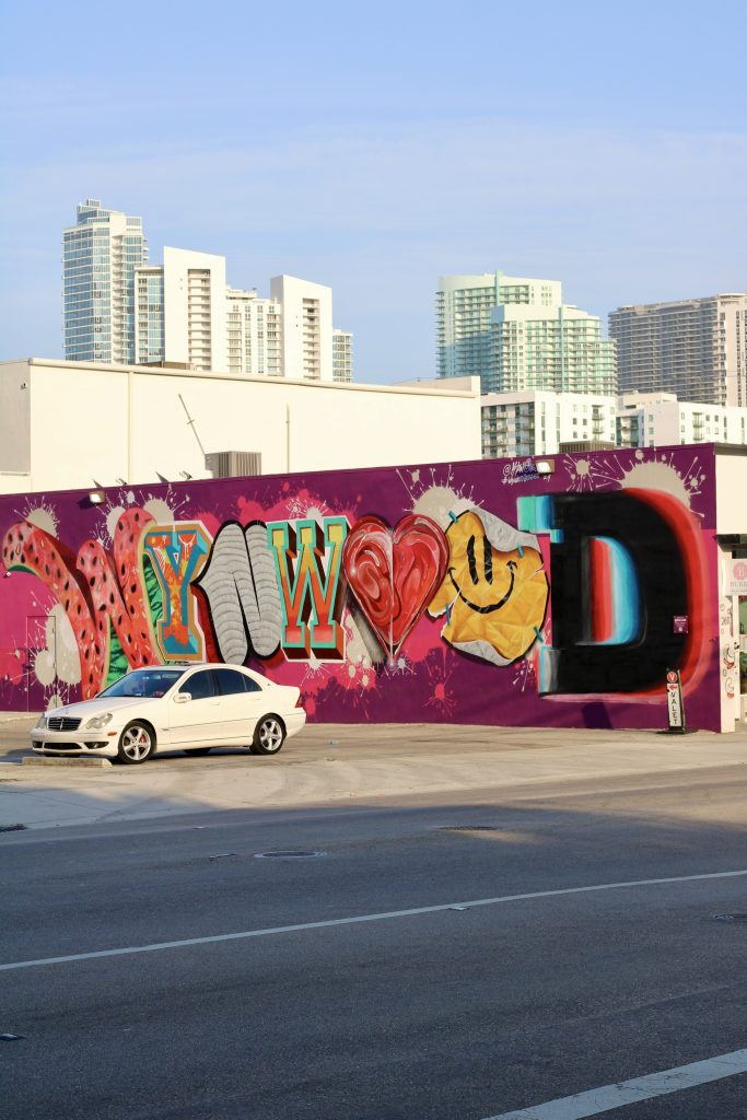 Murales colorati di Wynwood Walls