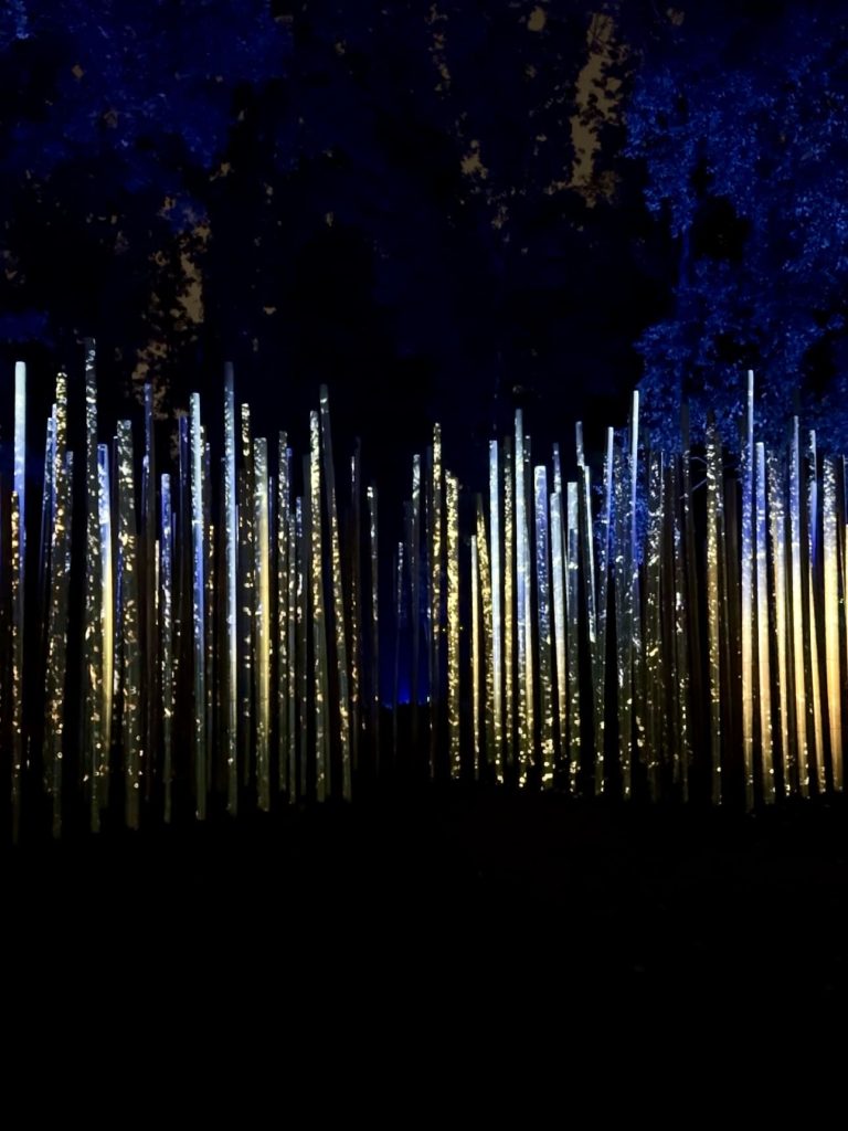 Installazione di bambù illuminato lungo il percorso di Light Cycles
