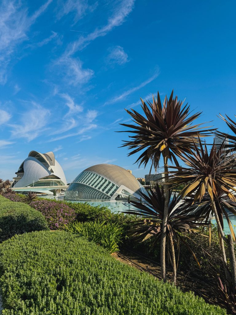 Città delle Arti e della Scienza di Valencia progettata da Calatrava