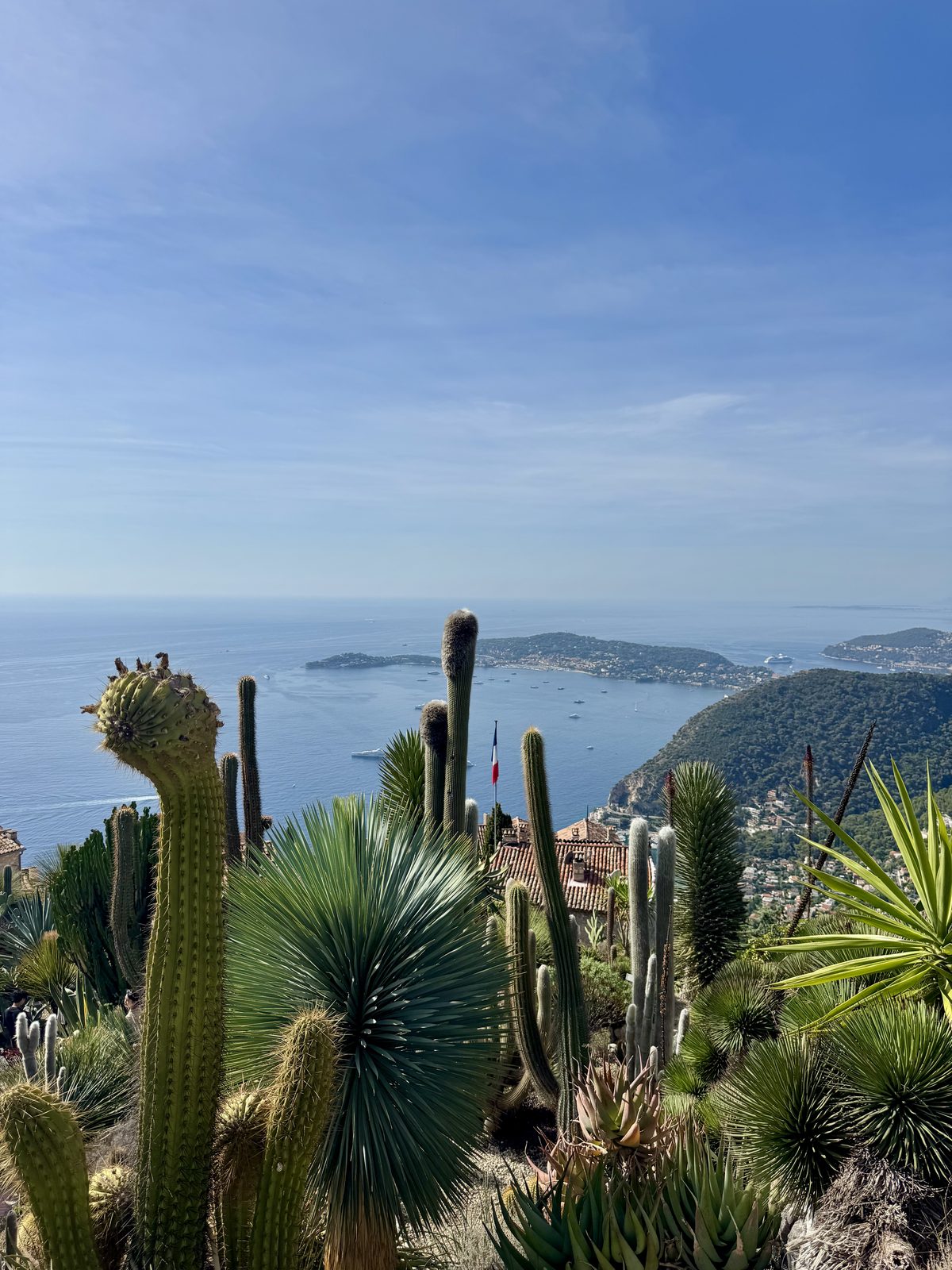 La vista sul mare dal Giardino Esotico di Èze, tra cactus e piante grasse