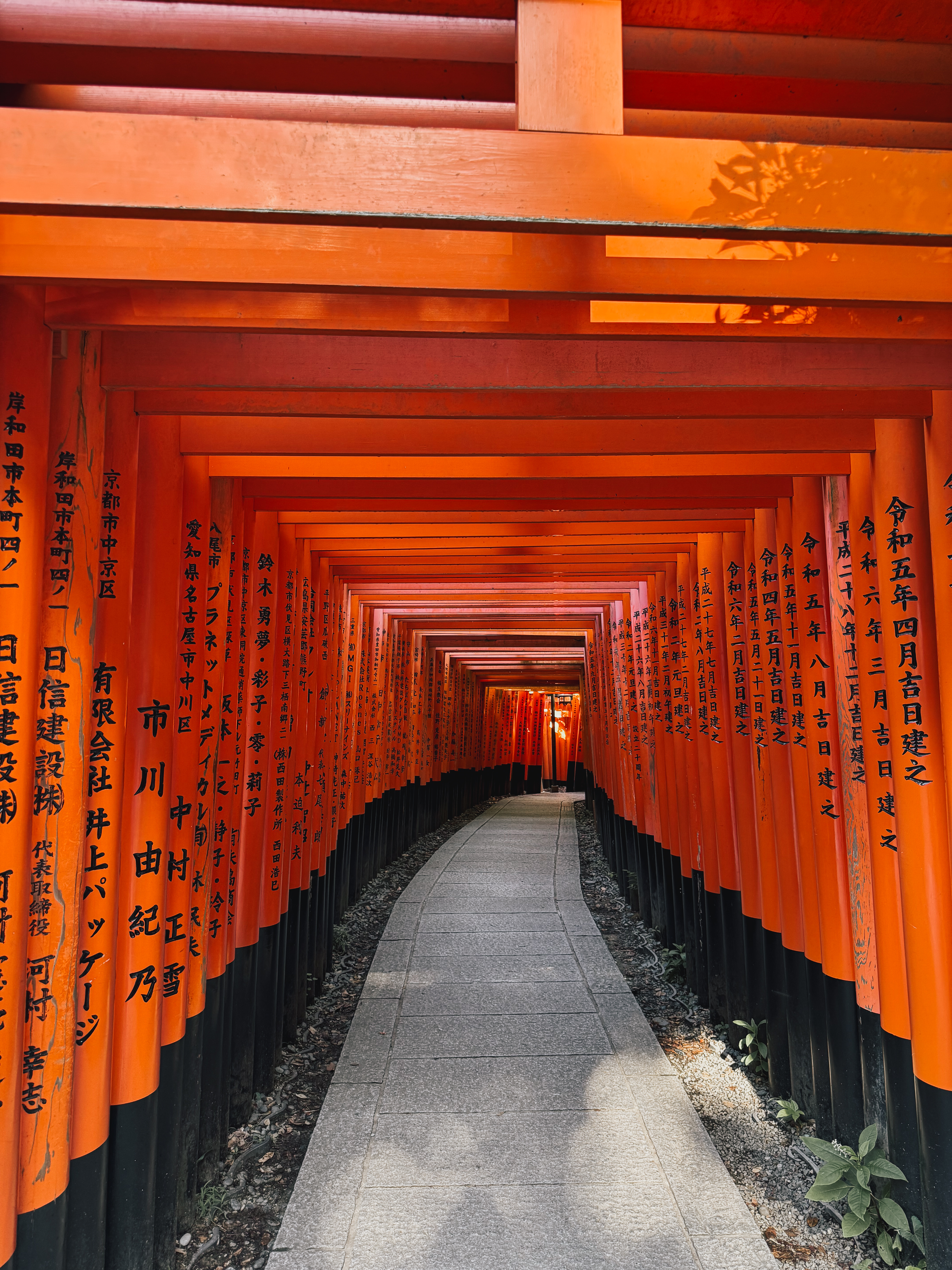 Il percorso dei mille torii rossi di Fushimi Inari Taisha