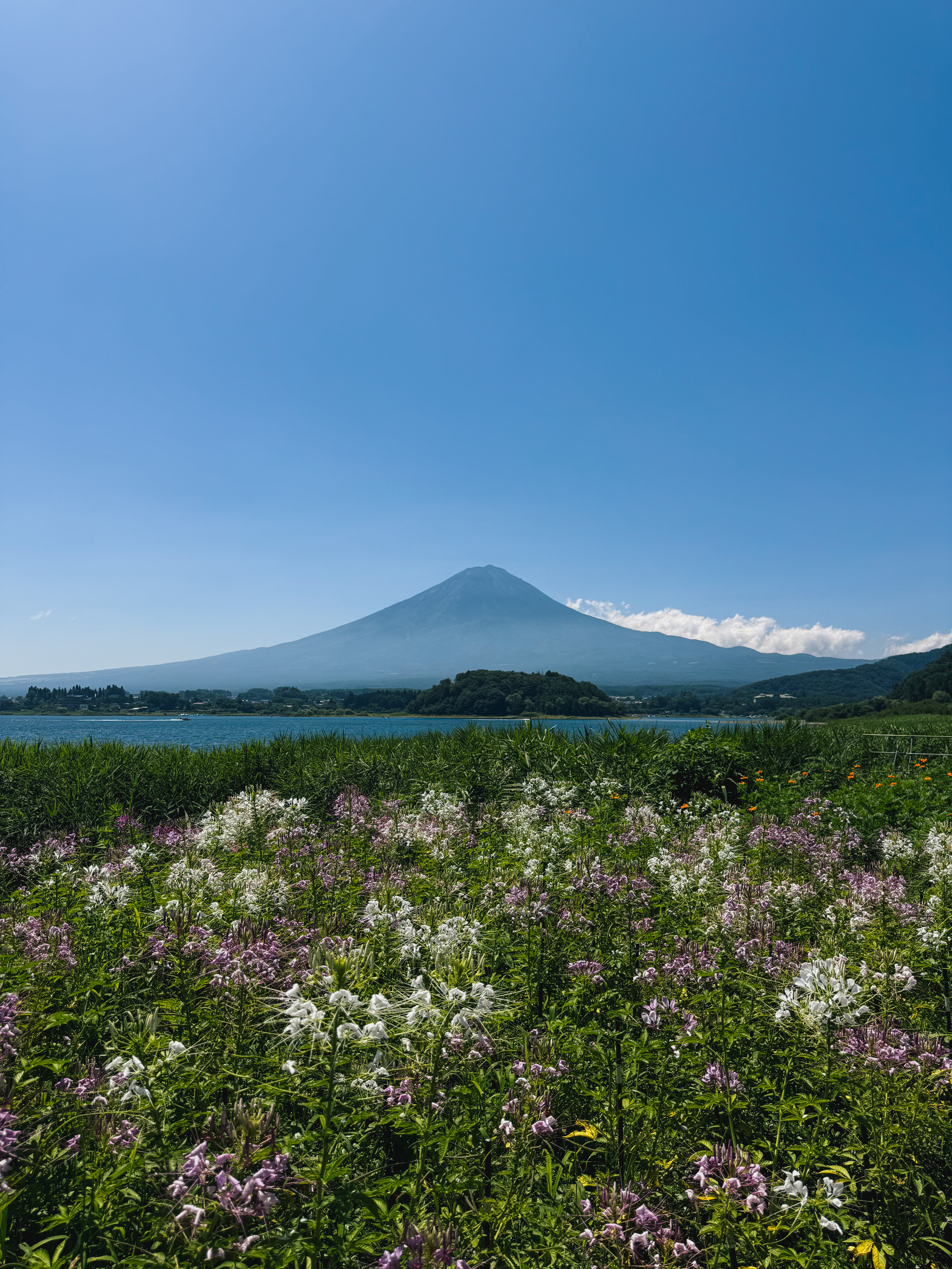 Il Monte Fuji visto durante la nostra escursione