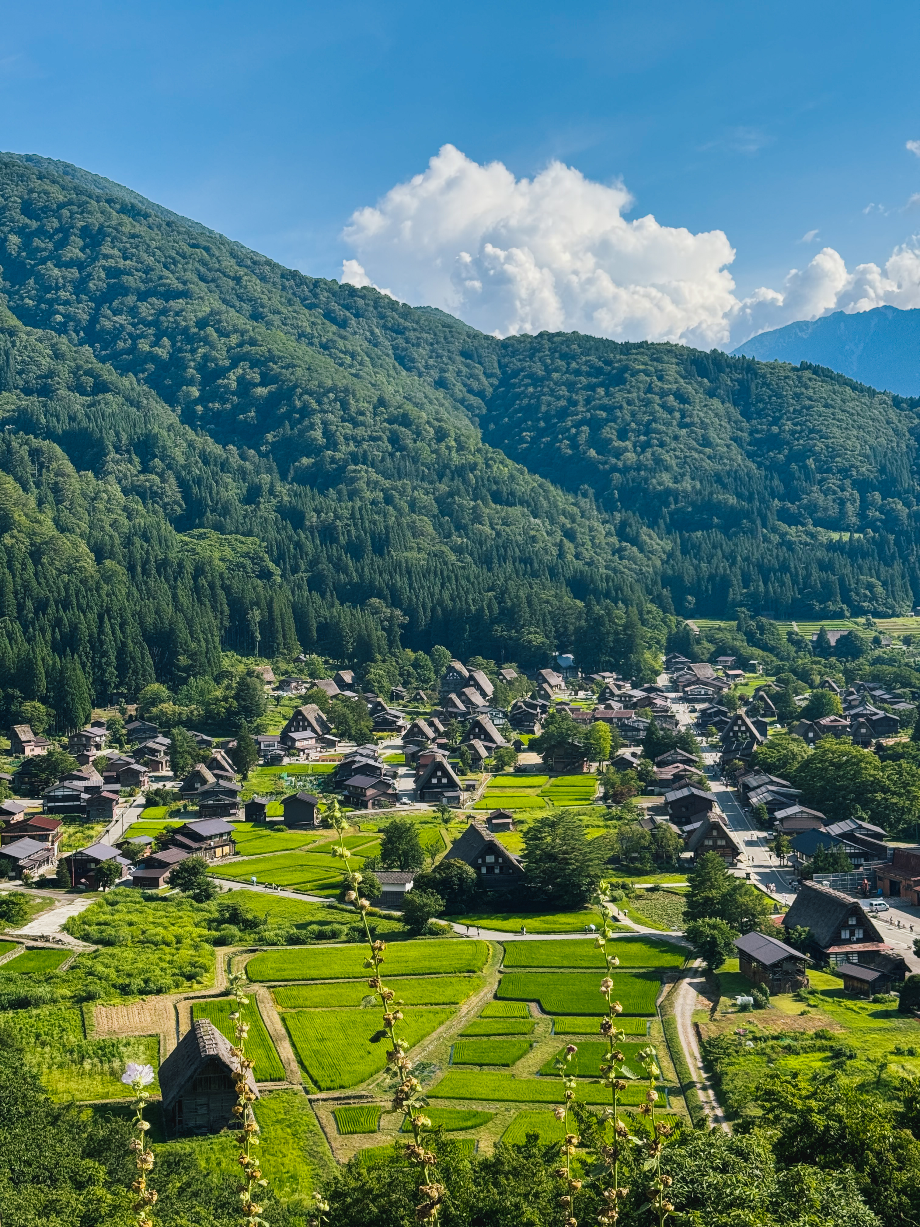 Le case gassho-zukuri dai grandi tetti in paglia di Shirakawa-go
