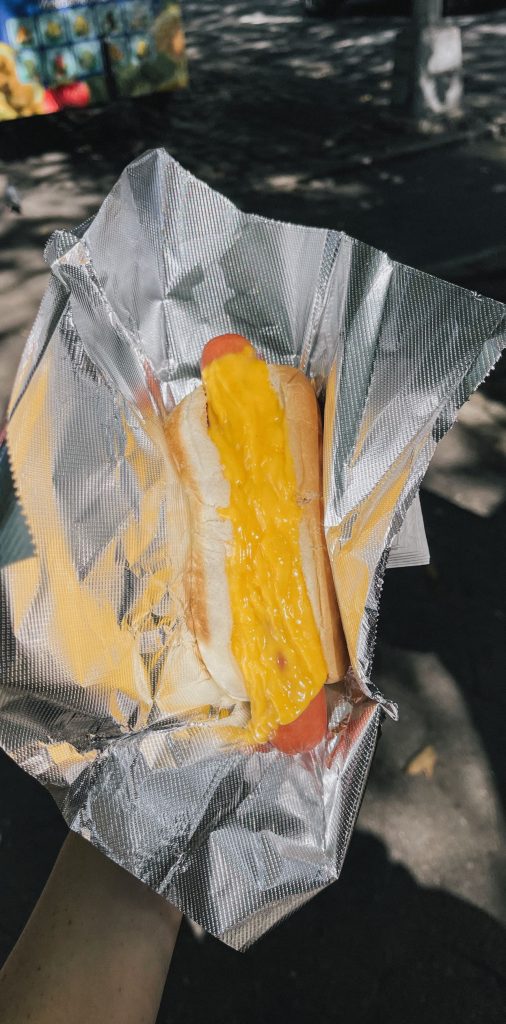 Hot dog con salsa senape da un carretto di New York