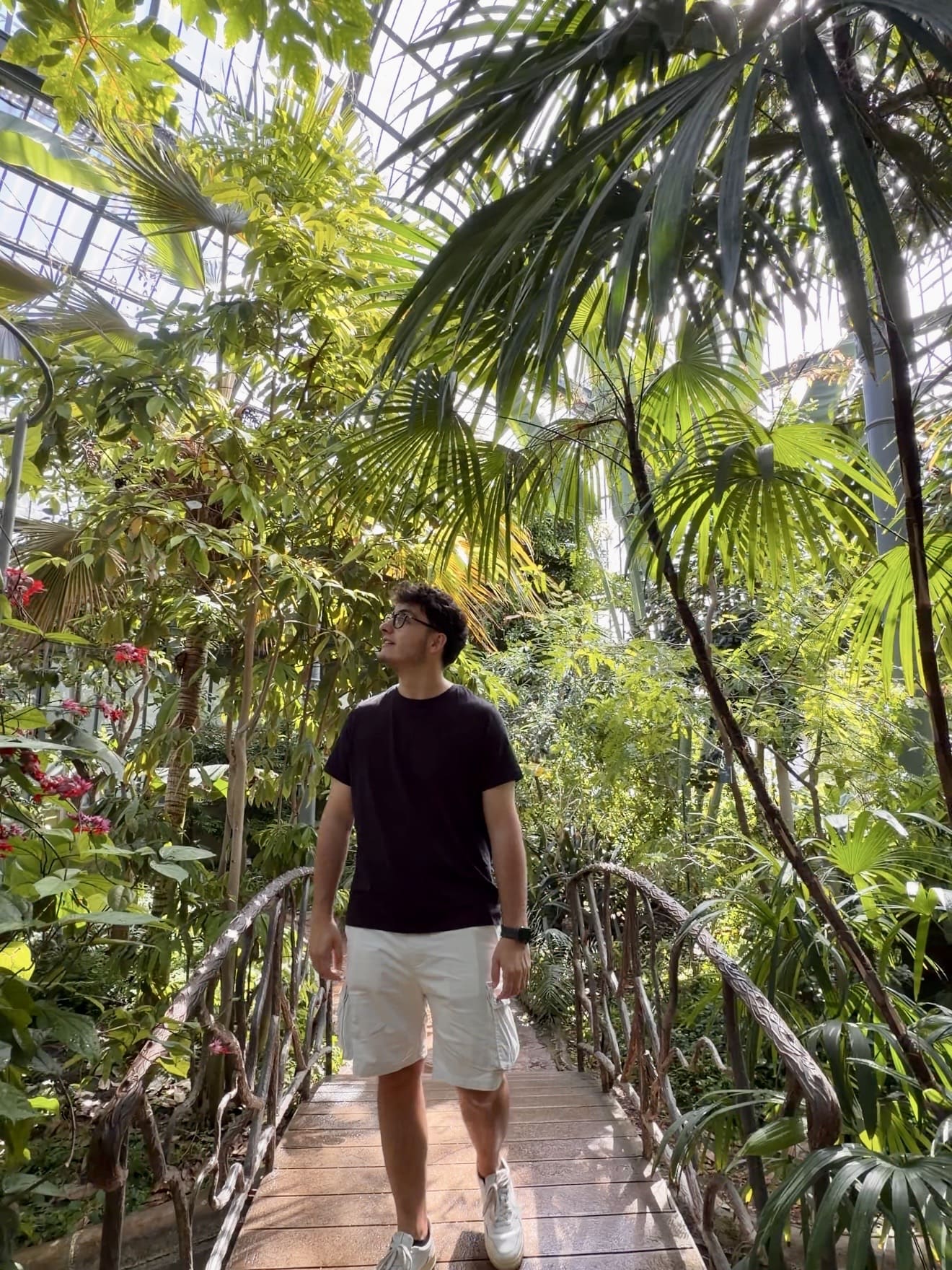 Una delle serre botaniche del Parc de la Tête d'Or
