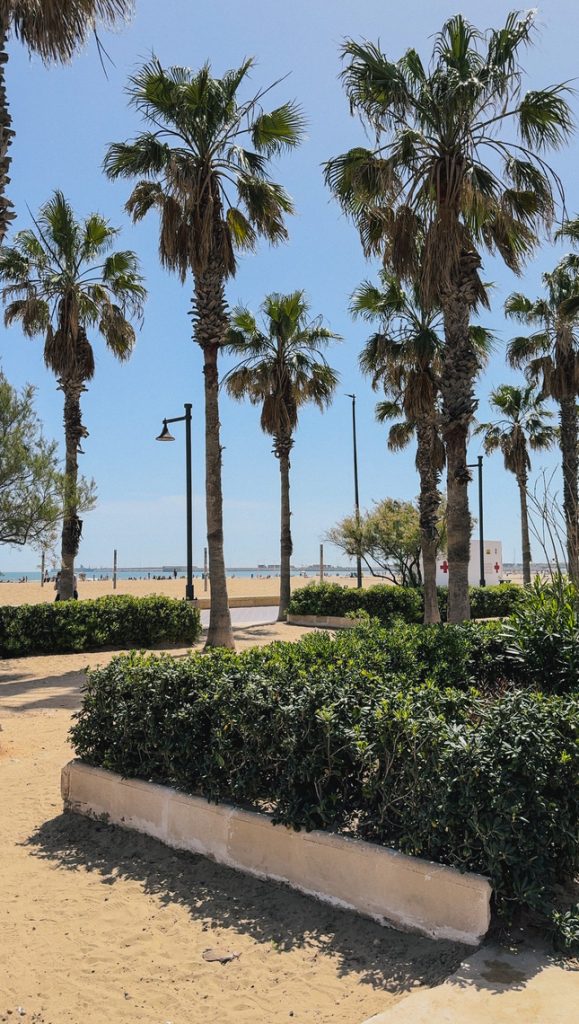 Lungomare di Playa de la Malvarrosa a Valencia