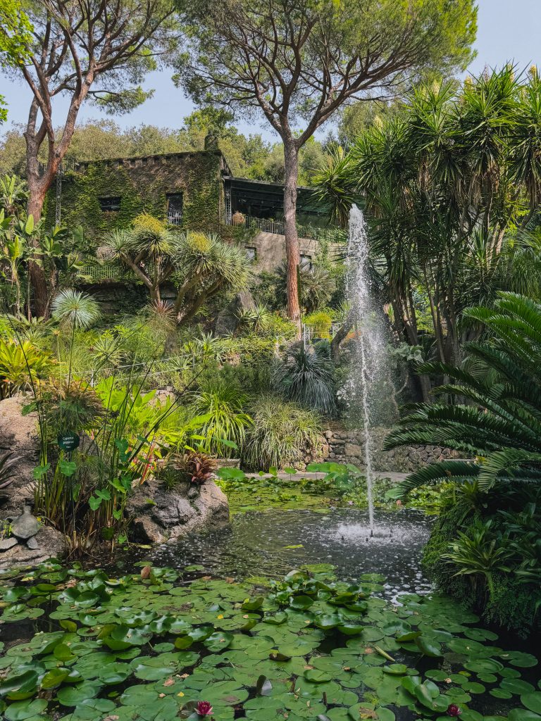 Giardini La Mortella con piante esotiche e mediterranee