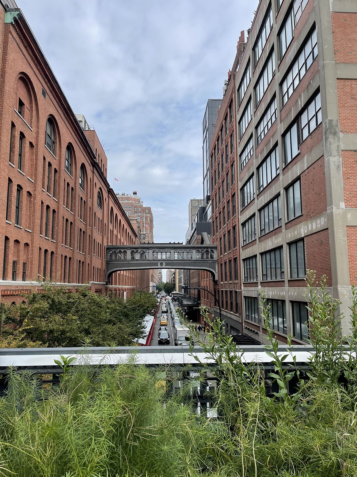 La passeggiata della High Line a New York tra i vecchi edifici industriali di Chelsea