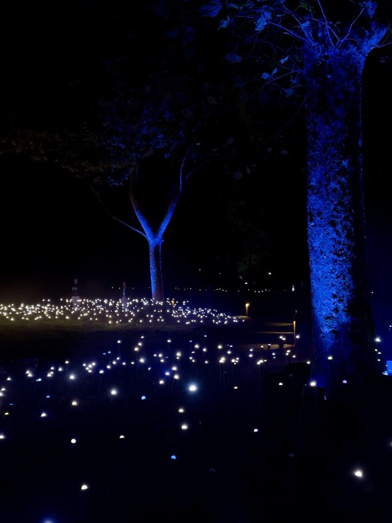 Prima installazione di Light Cycles all'Idroscalo di Milano
