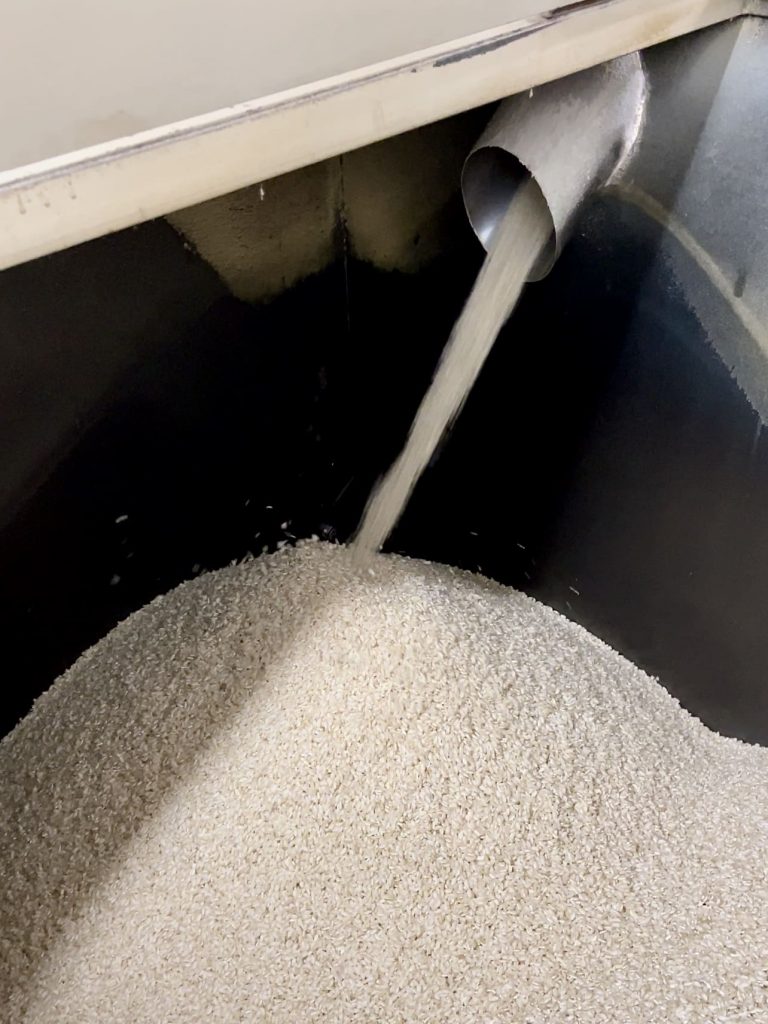 Diverse varietà di riso prodotte alla Riseria Montanari