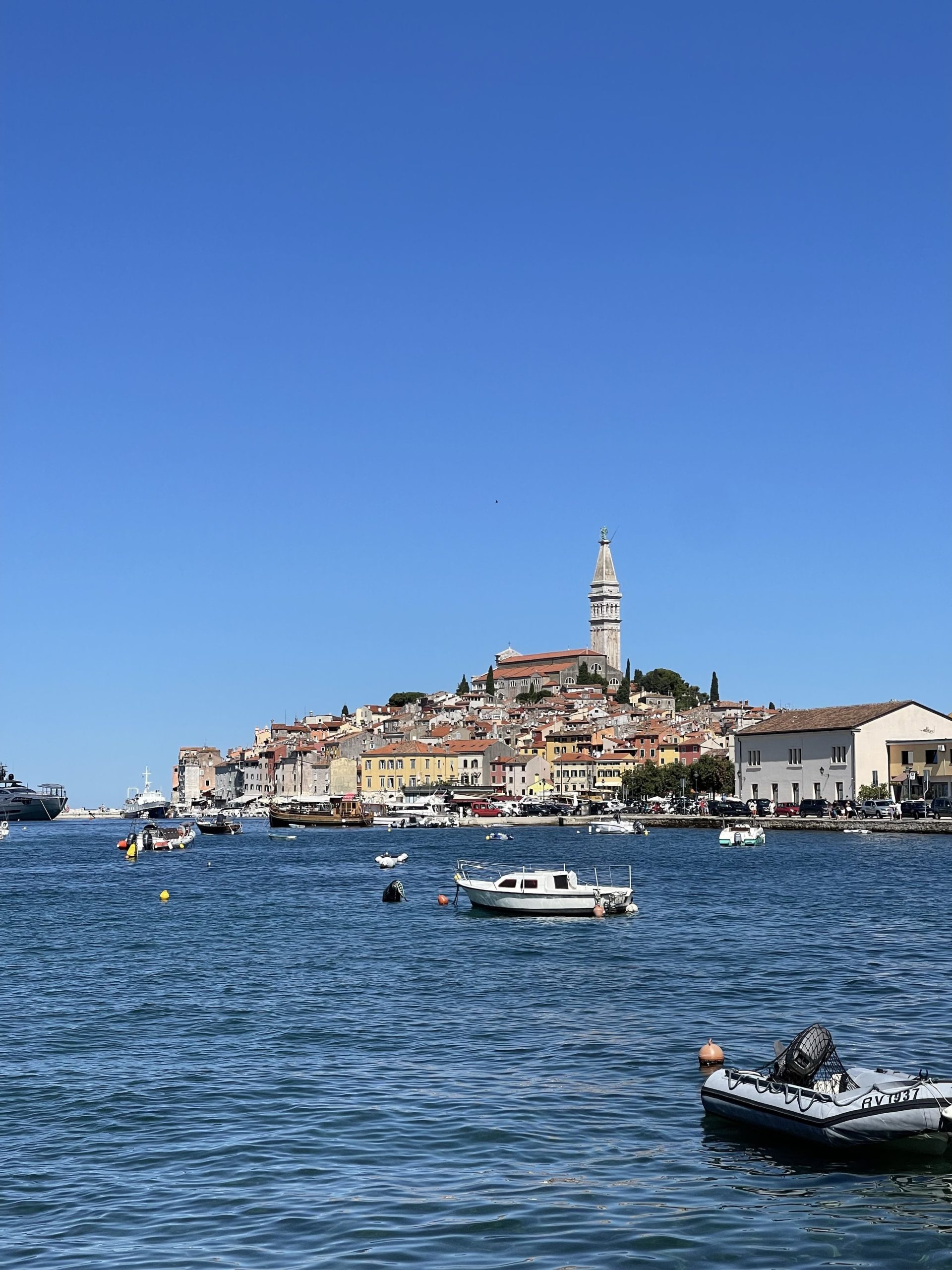Rovigno vista dal mare con il campanile centrale