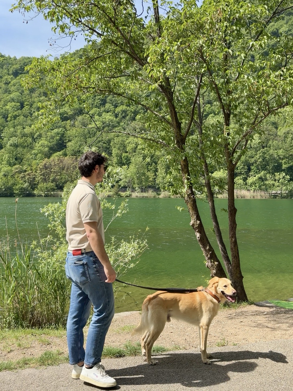 Pausa fronte lago al Segrino con il cane