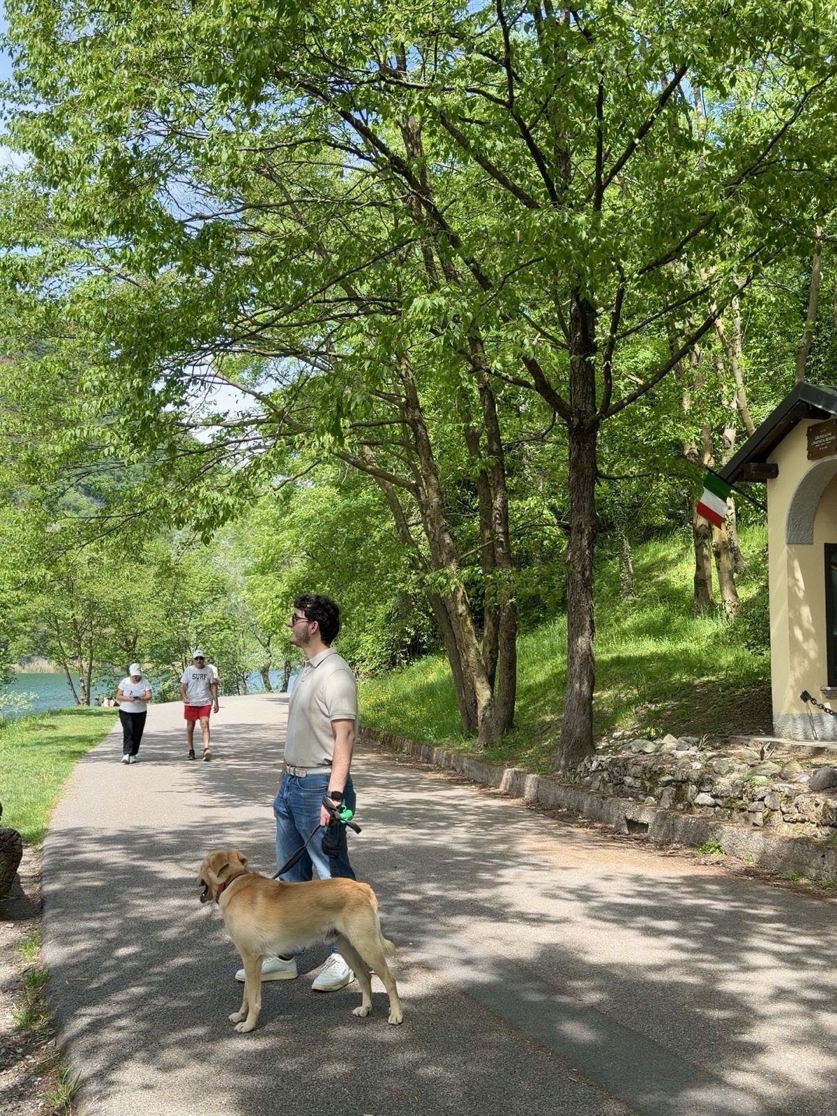 Passeggiata con il cane sulle rive del Lago del Segrino