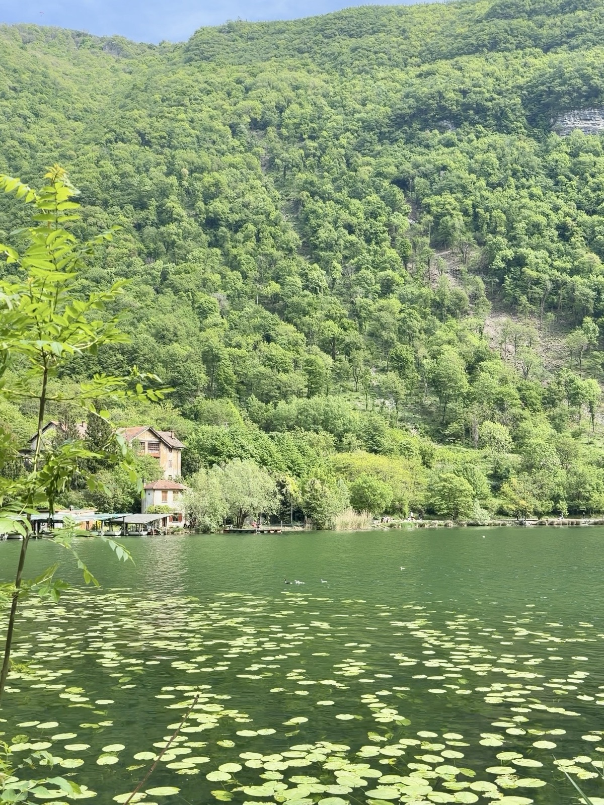Lago del Segrino circondato da alberi e vegetazione, acqua color smeraldo