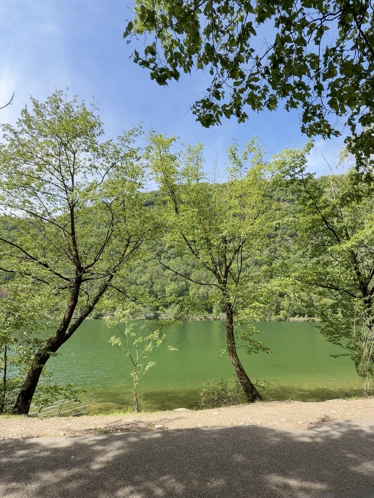 Scorcio del Lago del Segrino con verde e alberi sullo sfondo