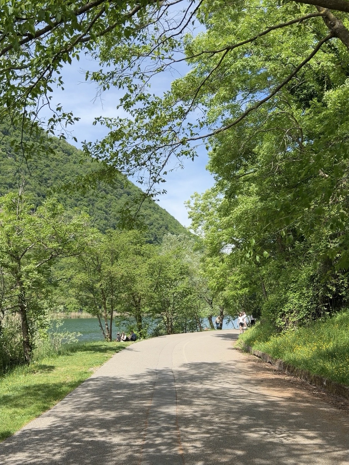 Passeggiata pianeggiante lungo il perimetro del Lago del Segrino