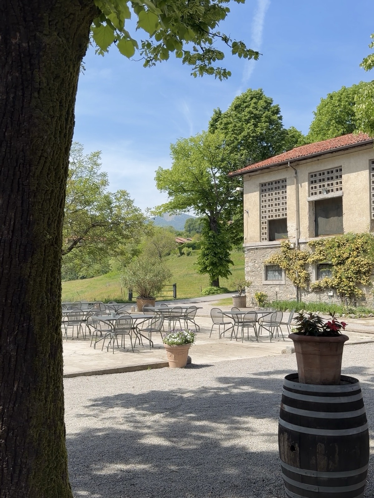 Tavoli all'aperto e giardino dell'Agriturismo Sant'Anna