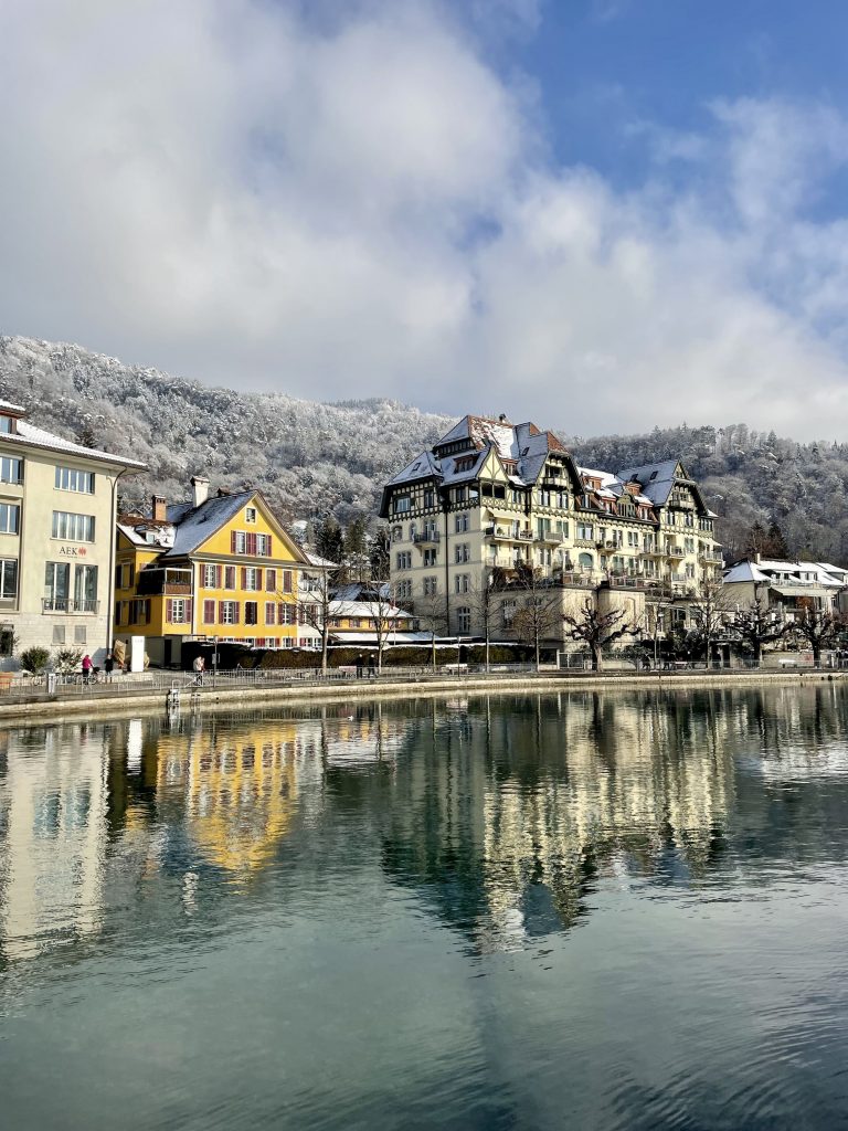 Lago di Thun visto dal Trenino Verde delle Alpi