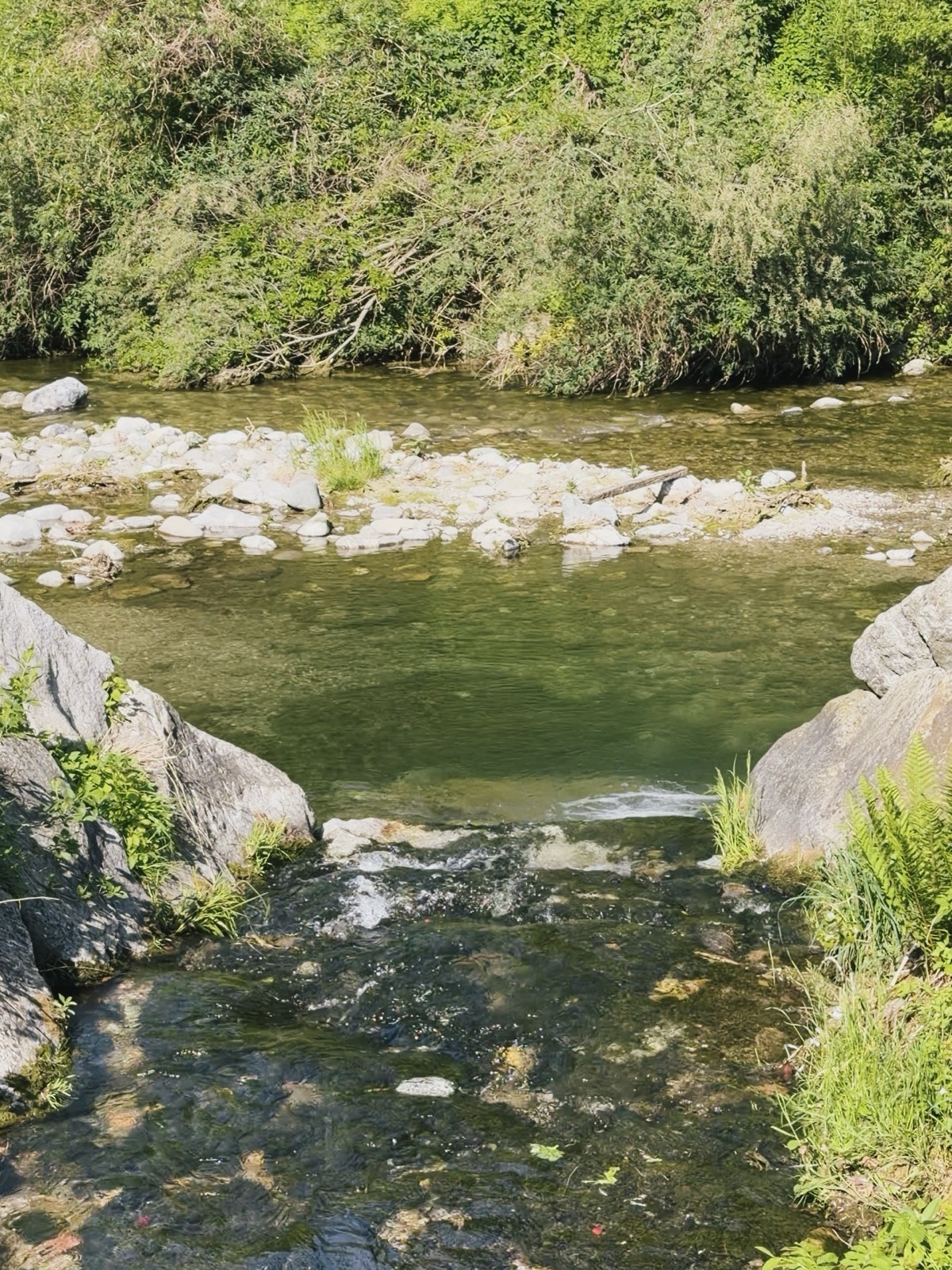 Il torrente Pioverna lungo la ciclopedonale della Valsassina